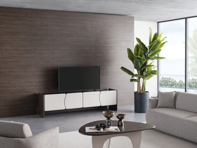Canyon Tv Unit