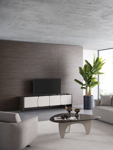 Canyon Tv Unit
