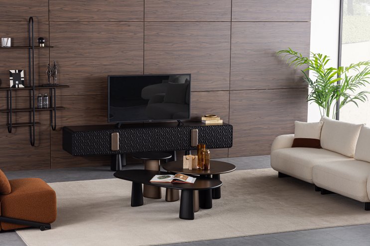 Klein Tv Unit