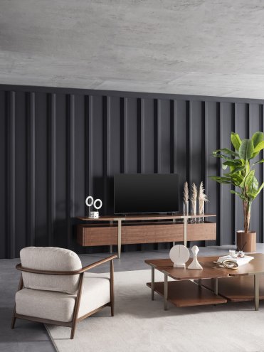 Loop Tv Unit