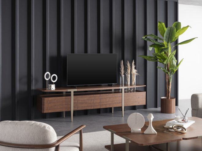 Loop Tv Unit
